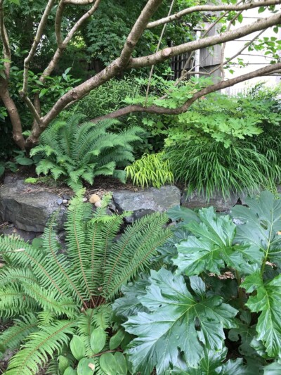 Photo Credit - Angela Ruff