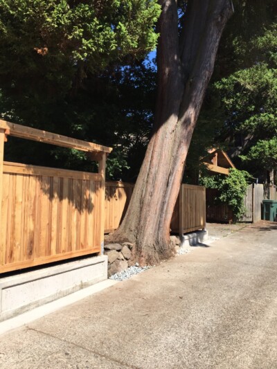 Photo Credit - Angela Ruff