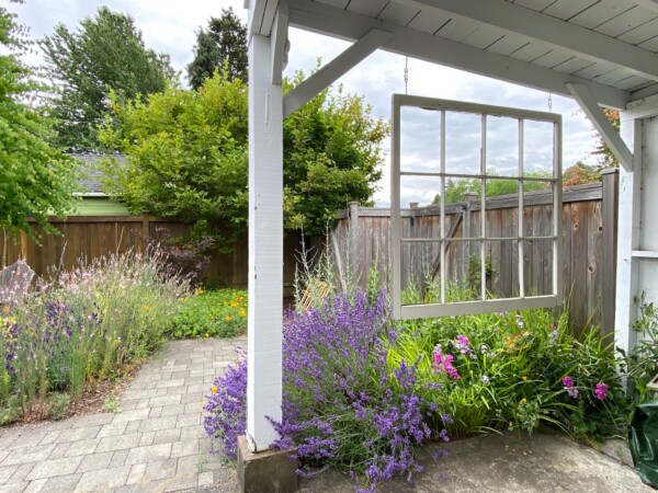 The existing open sided shed provides a sweet element and a shady sitting area from which to enjoy the cottage garden Open sided shed