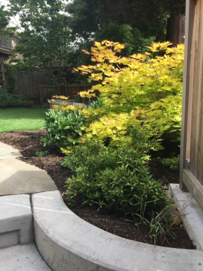 Photo Credit - Angela Ruff