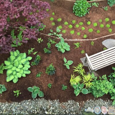 The newly planted terraces will bring the garden into a closer connection with the patio and deck