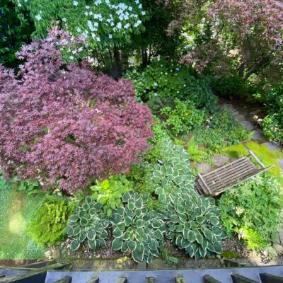 The homeowners often comment on how much they enjoy their new garden, and that’s the greatest reward a designer can receive