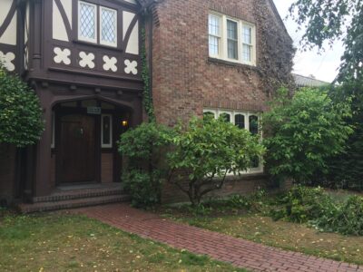 Phase 1 immediate improvements commence with pruning of overgrown shrubs