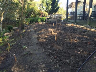An existing difficult to maintain sloped lawn was removed and replaced with terracing
