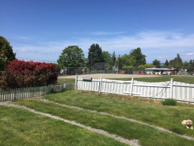 The garage was reached by crossing the lawn and carefully driving within the tire tracks