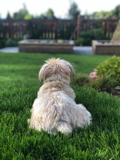 Photo Courtesy of Client