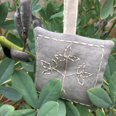 Blue Wild Indigo seed pods
