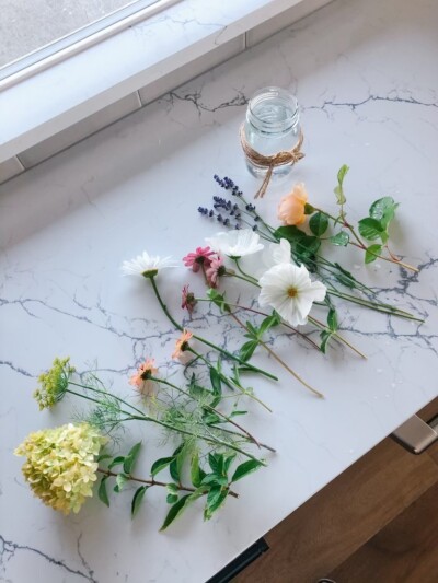 The new garden provides for a continually expanding variety of flowers lovingly curated and cultivated by the homeowner
Photo Courtesy of Client
Photo Courtesy of Client The new garden provides for a continually expanding variety of flowers lovingly curated and cultivated by the homeowner